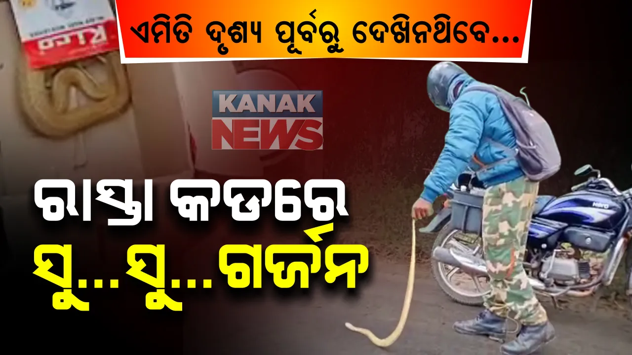  ଗ୍ରାଇଣ୍ଡର ବକ୍ସ ଭିତରୁ ବିରାଟ ନାଗ ସାପ ଉଦ୍ଧାର : ସ୍ଥାନୀୟ ଭୟଭୀତ ଲୋକେ