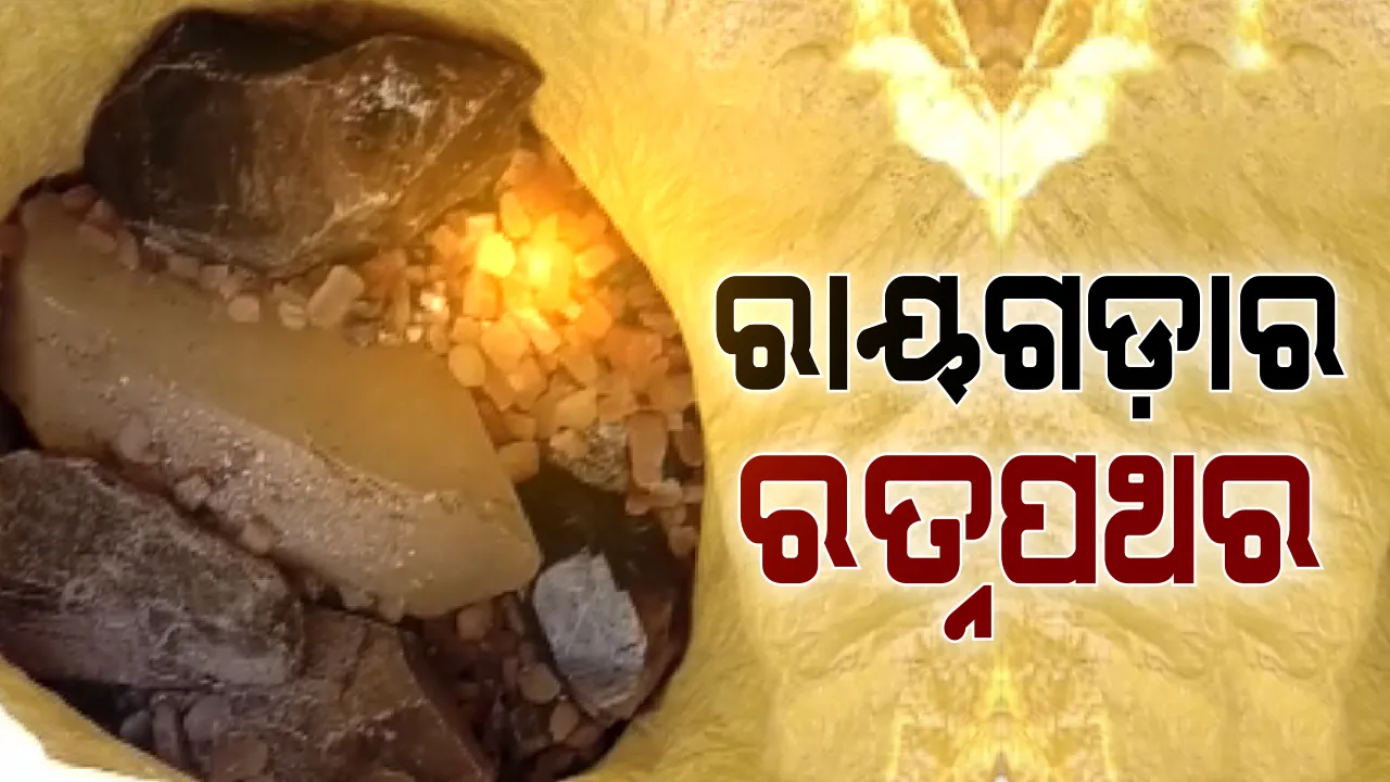  ଅଖାରୁ ମିଳିଲା ରତ୍ନପଥର । ୧୫୩ କେଜିର ମୂଲ୍ୟବାନ ରତ୍ନ ପଥରର ଆନୁମାନିକ ମୂଲ୍ୟ ଦେଢକୋଟି ଟଙ୍କା, ରାୟଗଡ଼ାରେ ଚଢାଉ କରି ଜବତ କଲା କ୍ରାଇମବ୍ରାଞ୍ଚ ଏସଟିଏଫ୍ ।