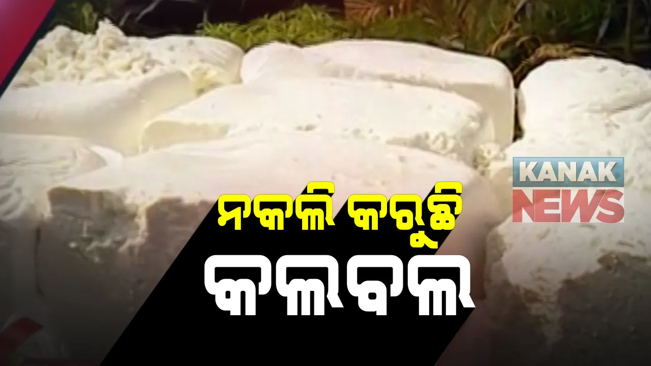  ଖାଉଟୀଙ୍କ ଚିନ୍ତା ବଢ଼ାଉଛି ନକଲି ସାମଗ୍ରୀ : ଘିଅ, ମସଲା, ସସ୍ ଓ ସିମେଂଟ ପରେ ନକଲି ପନିର୍ ଜବତ ହେବା ଘଟଣାକୁ ନେଇ ଲୋକଙ୍କ ଭିତରେ ଭାଳେଣୀ