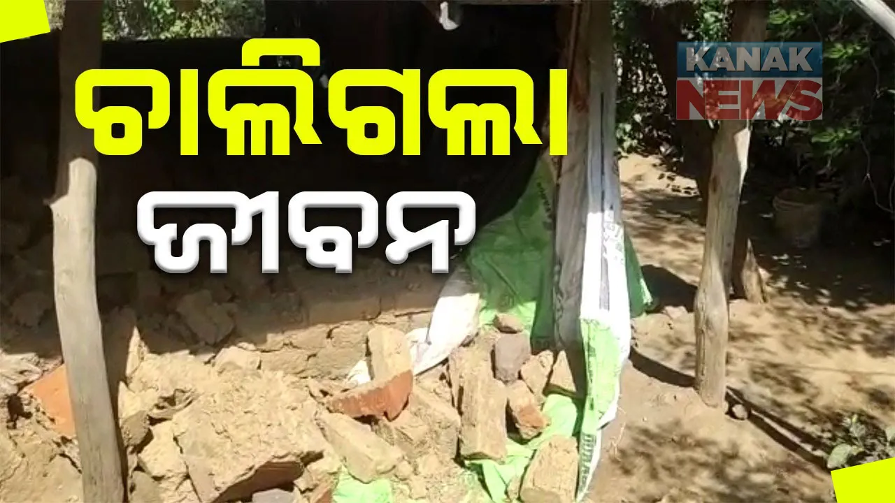  ଆମ୍ବ ଗଛ ଭାଙ୍ଗି ପଡିବାରୁ ଘରର କାନ୍ଥ ପଡି ମହିଳାଙ୍କ ମୃତ : ଅଳ୍ପକେ ବର୍ତ୍ତିଲା ଝିଅ