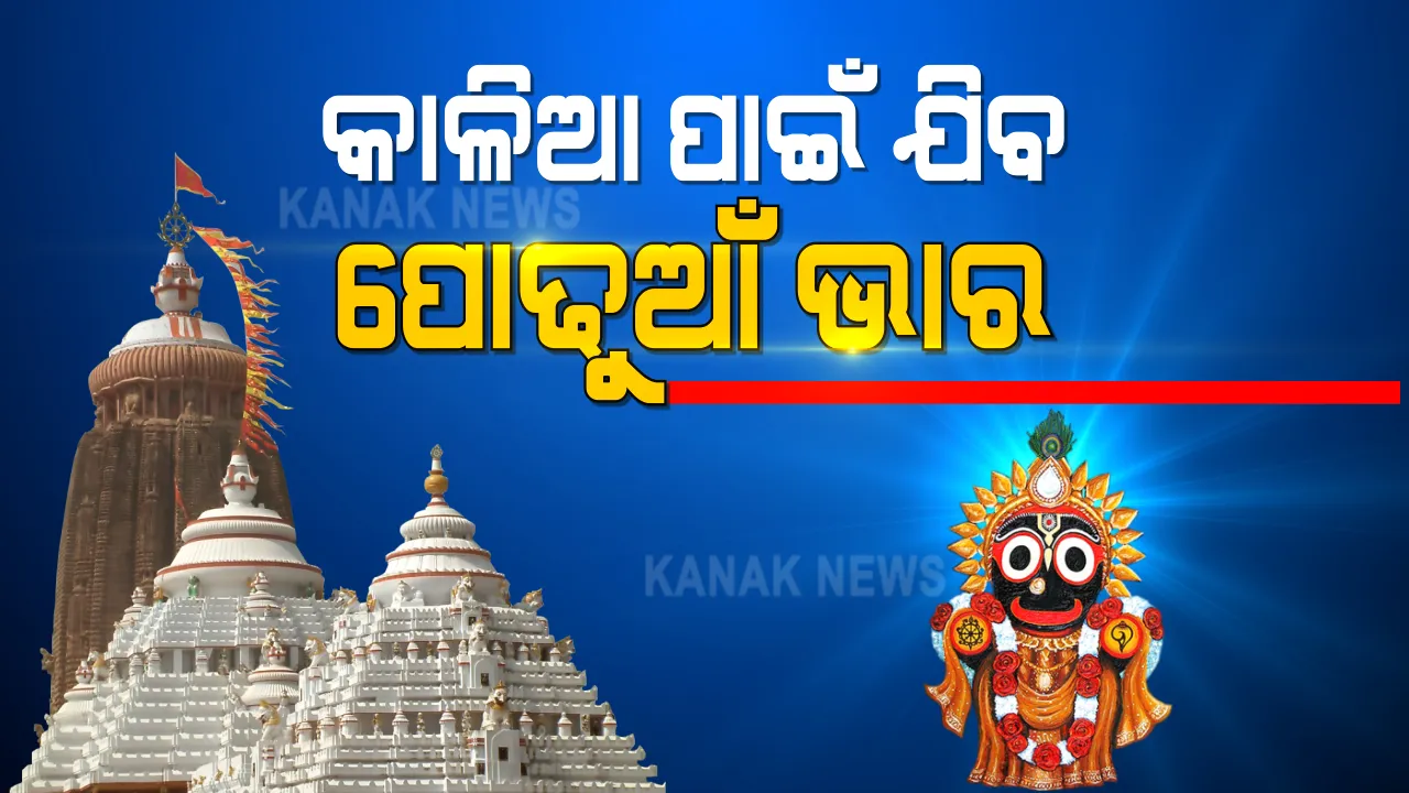  ପ୍ରଥମାଷ୍ଟମୀରେ ପୋଢୁଆଁ ହେବେ ମହାପ୍ରଭୁ ଜଗନ୍ନାଥ । ମାମୁଁଘର ନିଆଳି ମାଧବରୁ ଶ୍ରୀମନ୍ଦିରକୁ ଯିବ ପୋଢୁଆଁ ଭାର । ଏଥର କୋଭିଡ୍ କଟକଣାରେ ଭାର ସାଥୀରେ ଯିବେ ୫୦ ଜଣ