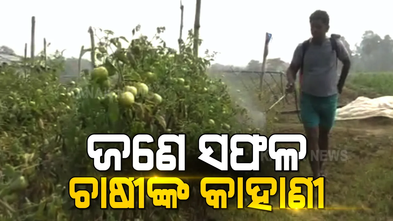  ଜଣେ ଦିବ୍ୟାଙ୍ଗ ସଫଳ ଚାଷୀଙ୍କ କାହାଣୀ । ଦିବ୍ୟାଙ୍ଗ ହୋଇବି ଜମିରେ ଫଳାଉଛନ୍ତି ସୁନାର ଫସଲ, ୨୦ ପରିବାରକୁ ଯୋଗାଉଛନ୍ତି ରୋଜଗାର ।