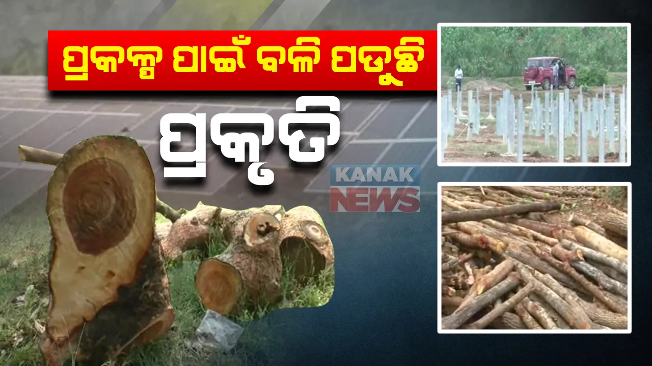  ପ୍ରକଳ୍ପ ପାଇଁ ବଳି ପଡୁଛି ପ୍ରକୃତି : ପ୍ରାକୃତିକ ପରିବେଶକୁ ନଷ୍ଟ କରି ତିଆରି ହେଉଛି ସୋଲାର ପାୱାର ପ୍ଲାଣ୍ଟ