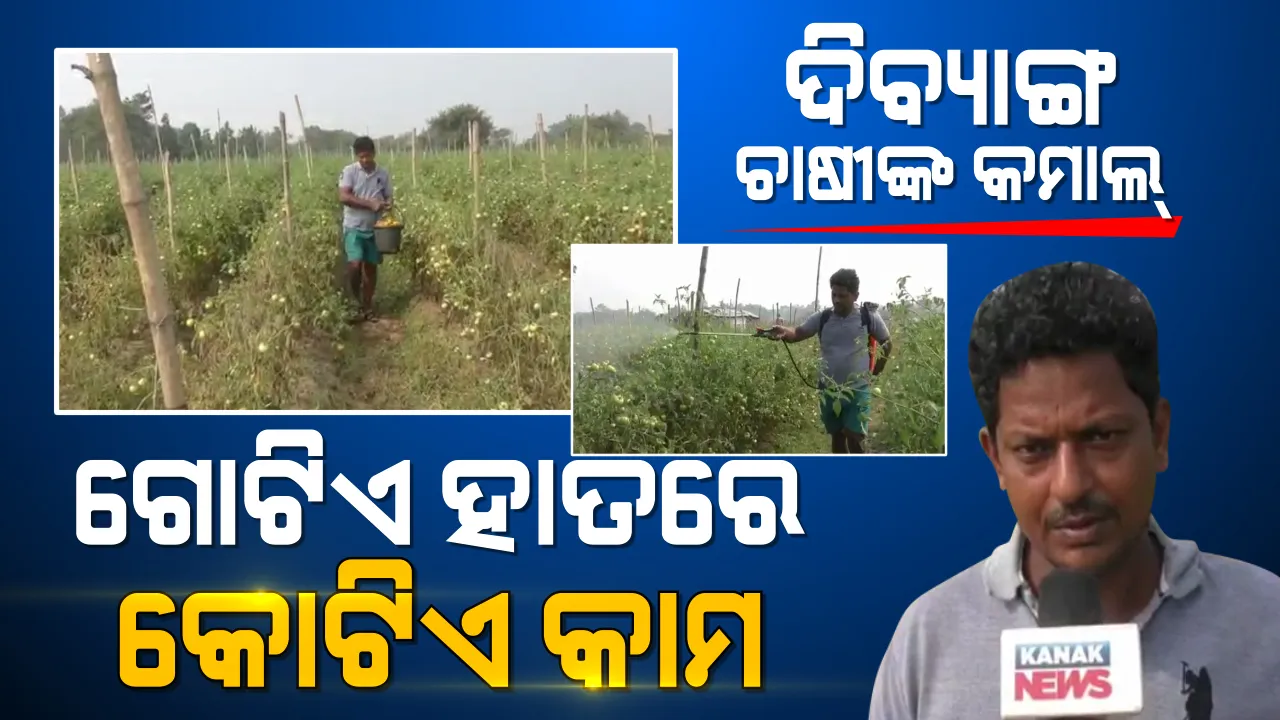  ବିନା ପାପୁଲିରେ ବିଲାତି ଚାଷ କରି ଚର୍ଚ୍ଚାରେ ବିଭୂତି । ଦିବ୍ୟାଙ୍ଗ ହୋଇ ବି ହାରି ନାହାନ୍ତି । ନିଜେ ସ୍ୱାବଲମ୍ବୀ ହେବା ସହ ୨୦ ପରିବାରକୁ ଦେଇଛନ୍ତି ରୋଜଗାର ।