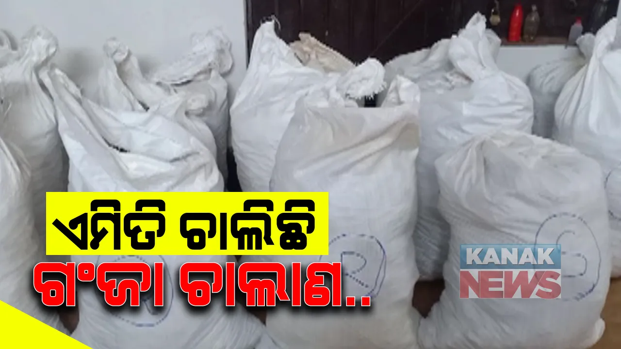  ପୁଣି ଜୟପୁରରୁ ଧରାପଡିଲା ବିପୁଳ ପରିମାଣର ଗଂଜେଇ: ଲମତାପୁଟ ଅଂଚଳରୁ ୩ ଗାଡିରୁ ଜବତ ଦେଲା ୭ କ୍ୱିଂଟାଲରୁ ଅଧିକ ଗଂଜା; ଗାଡି ଜବତ, ଗଂଜେଇ ମାଫିଆ ଫେରାର