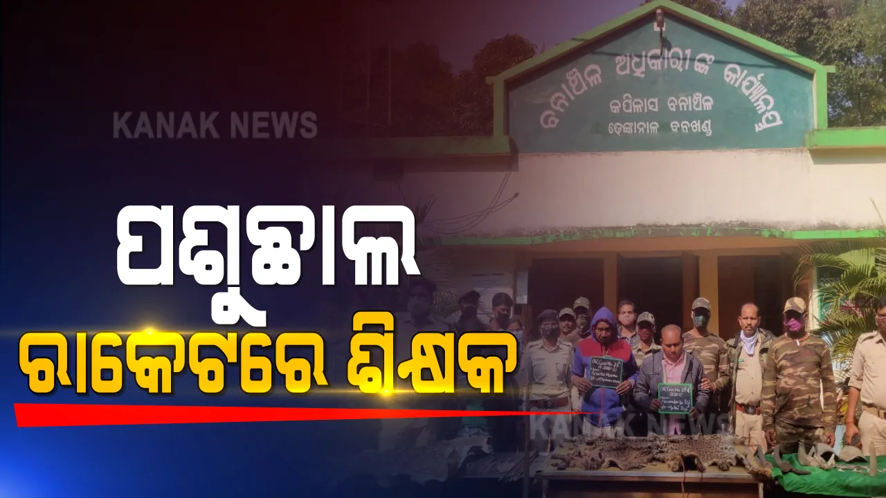  ବିପୁଳ ବନ୍ୟଜନ୍ତୁ ସାମଗ୍ରୀ ଜବତ କଲା ଢେଙ୍କାନାଳ ବନବିଭାଗ : କପିଳାସ ରେଂଜ ଜାମୁନାଳୀ ଗାଁରୁ ୨ଟି ବାଘ ଛାଲ ଜବତ, ୩ ଜଣ ଗିରଫ