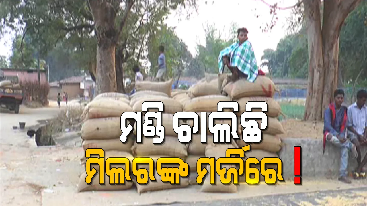  ସୁନ୍ଦରଗଡରେ ଧାନ ମଣ୍ଡି ଚାଲିଛି ମିଲରଙ୍କ ମର୍ଜିରେ । ମନ ଇଚ୍ଛା ମଣ୍ଡି ଛାଡି ଚାଲି ଯାଉଛନ୍ତି ମିଲରଙ୍କ ପ୍ରତିନିଧି । ଧାନ ଧରି ମଣ୍ଡିରେ ଅପେକ୍ଷା କରୁଛନ୍ତି ଚାଷୀ ।