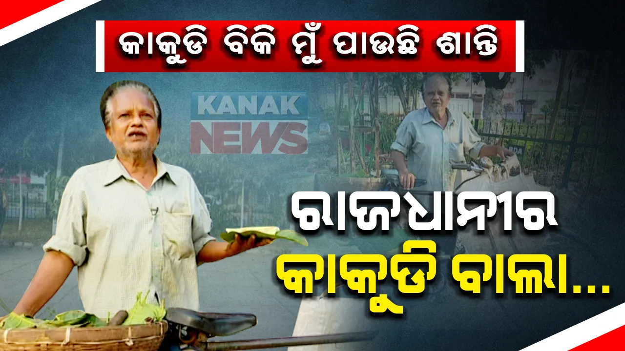  ବୁଢା ବୟସରେ ବୁଲିବୁଲି ରାଜଧାନୀରେ କାକୁଡି ବିକୁଛନ୍ତି କଳାକାର । ବେପାର କରି ପଇସା ନୁହେଁ ପାଉଛନ୍ତି ଖୁସି ।
