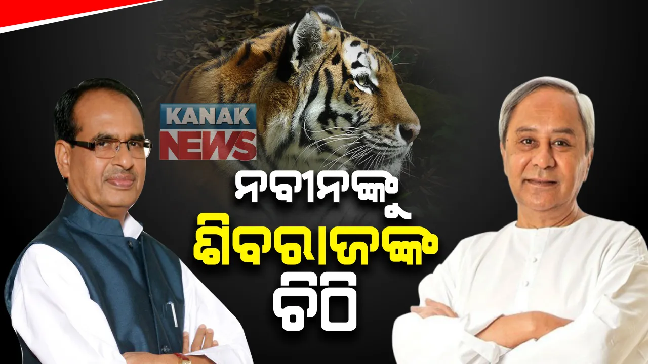 ବାଘ ପାଇଁ ମୁଖ୍ୟମନ୍ତ୍ରୀ ନବୀନ ପଟ୍ଟନାୟଙ୍କୁ ଶିବରାଜଙ୍କ ଚିଠି : ବାଘୁଣୀ ସୁନ୍ଦରୀର ସ୍ୱାସ୍ଥ୍ୟାବସ୍ଥା ନେଇ ଚିନ୍ତାପ୍ରକଟ କଲେ ଶିବରାଜ