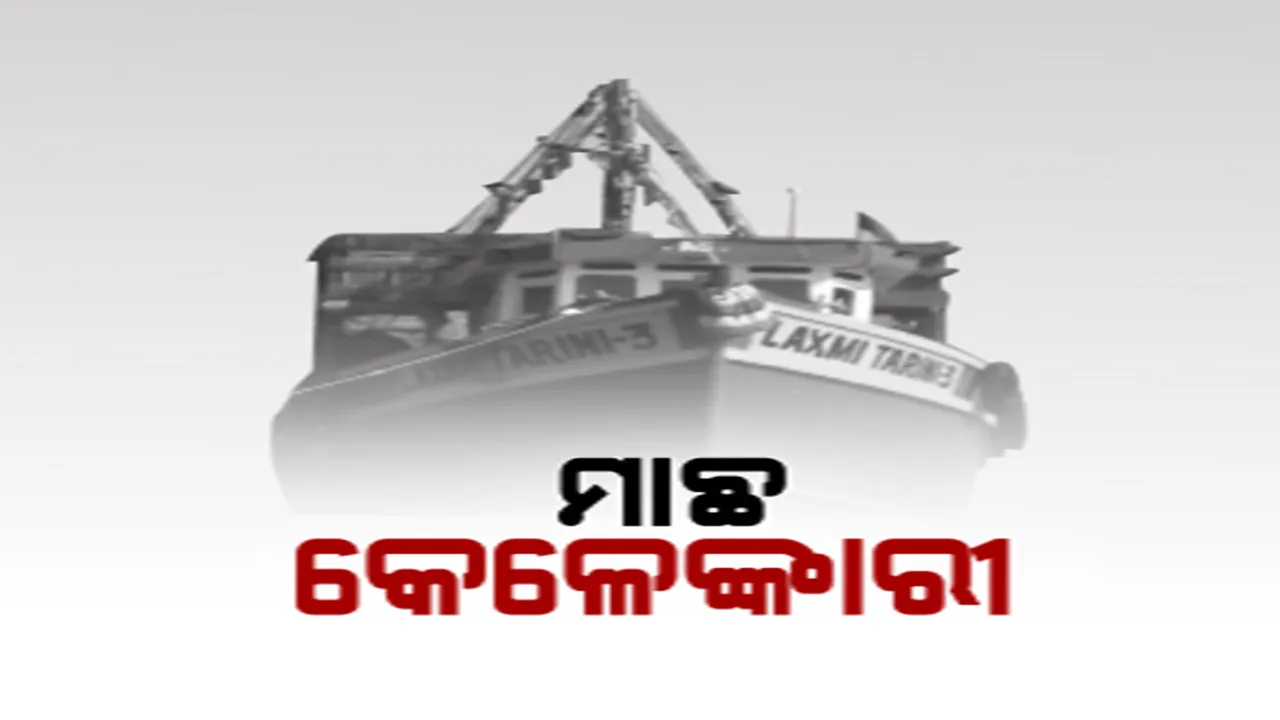 ଗହୀରମଥାରେ ଚାଲିଛି ମାଛ କେଳେଙ୍କାରୀ । ବନ ଅଧିକାରୀ ହେଉଛନ୍ତି ମାଲାମାଲ, ଜବତ ହେଲା  ୧୬ କ୍ୱିଣ୍ଟାଲ, ସିଜର ଲିଷ୍ଟରେ ମାତ୍ର ୨  କ୍ୱିଣ୍ଟାଲ  । 