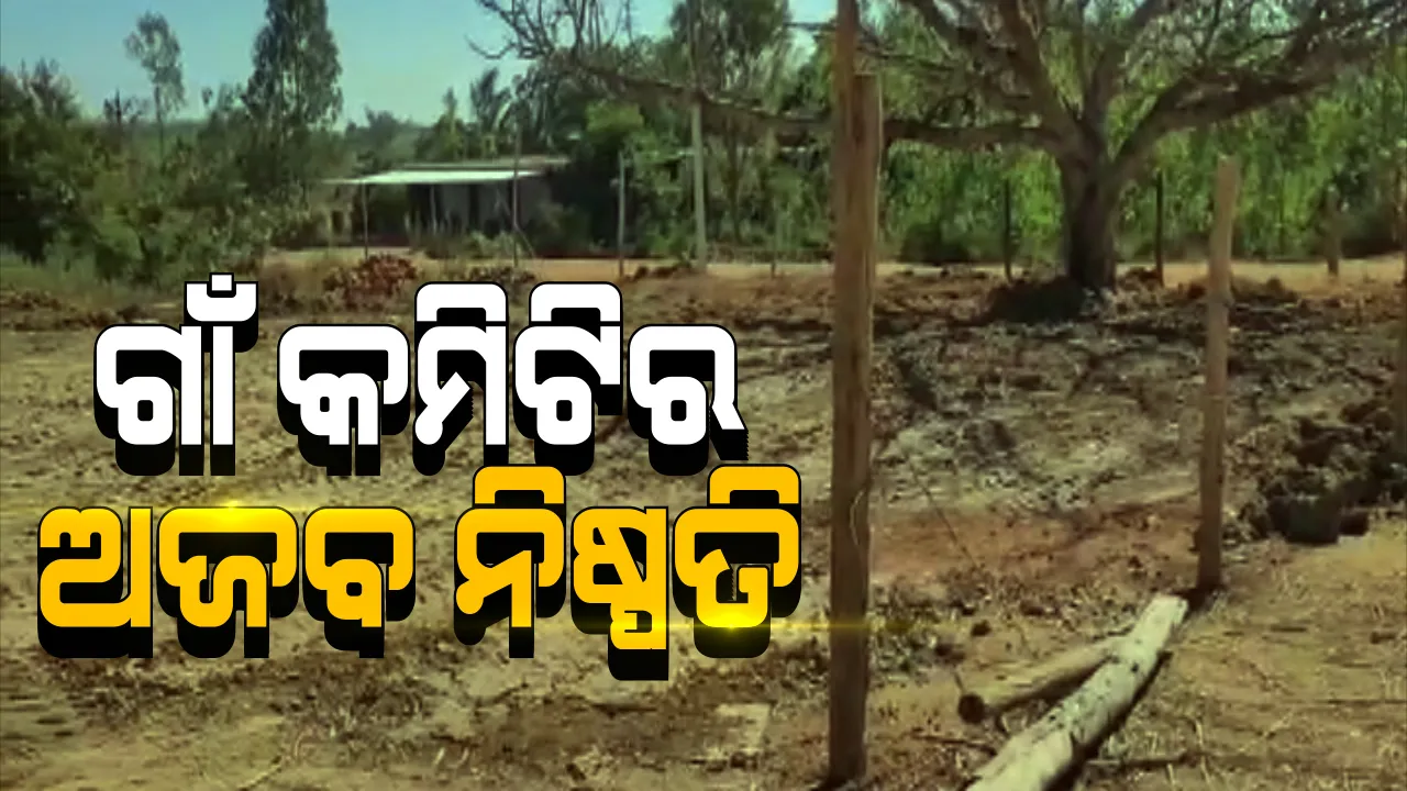  ଗାଁ କମିଟିର ଅଜବ ନିଷ୍ପତି । ସରକାରୀ ଜମିରୁ ଦୋକାନ ଘର ନଭାଙ୍ଗିବାରୁ ସାମାଜିକ ବାସନ୍ଦ ନିଷ୍ପତି ନେଇଛି ଗାଁ କମିଟିର କଙ୍ଗାରୁ କୋର୍ଟ । 
