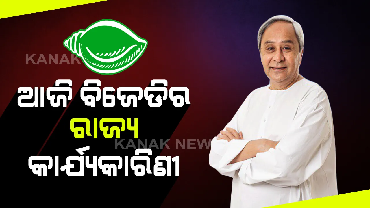  ଆଜି ବିଜେଡିର ରାଜ୍ୟ କାର୍ଯ୍ୟକାରିଣୀ ବୈଠକ: ଆଗାମୀ ଦିନ ପାଇଁ ପ୍ରସ୍ତୁତ ହେବ ଦଳର ରଣକୌଶଳ