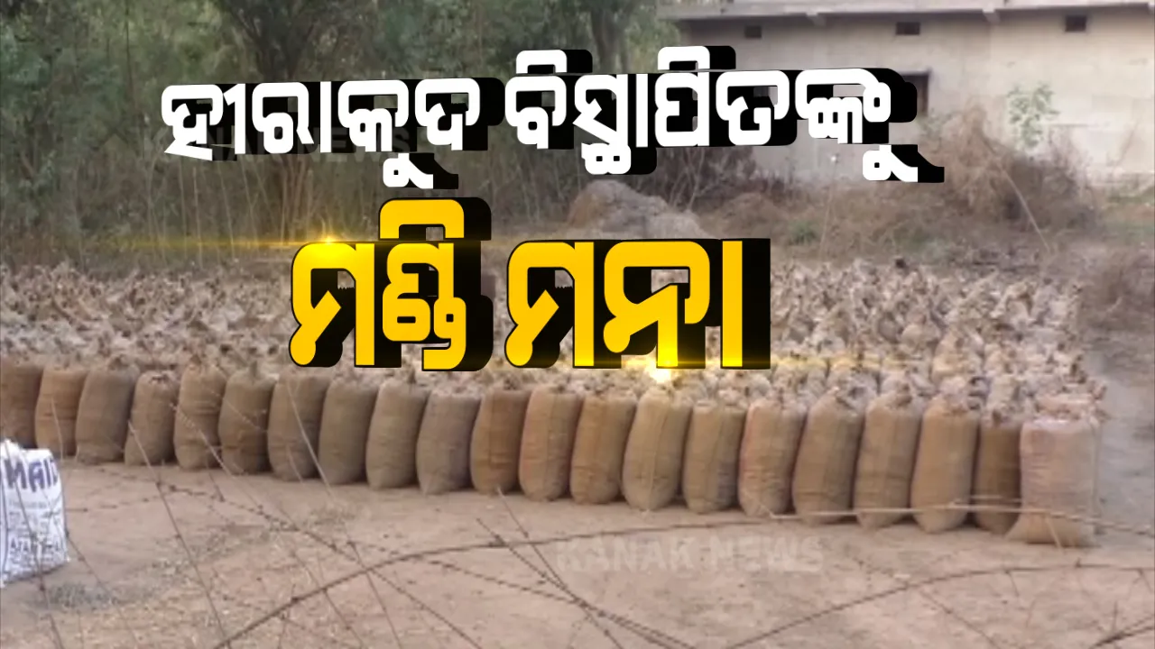  ହୀରାକୁଦ ବିସ୍ଥାପିତଙ୍କୁ ସରକାରୀ ଧାନମଣ୍ଡି ମନା । ବିସ୍ଥାପନର ପ୍ରାୟ ୭୦ ବର୍ଷ ପରେ ବି ଝାରସୁଗୁଡାର ବିସ୍ଥାପିତଙ୍କୁ ମିଳିନି ଜମି ପଟ୍ଟା । ପଟା ନଥିବାରୁ ମଣ୍ଡିରେ ଧାନ ବିକିବାକୁ ମିଳୁନି ଅନୁମତି