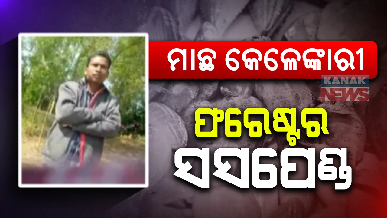  ରାଜନଗର ଗହୀରମଥାରେ ମାଛ କେଳେଙ୍କାରୀ ପ୍ରସଙ୍ଗ : ଗହୀରମଥା ଫରେଷ୍ଟର ପ୍ରଫୁଲ୍ଲ ମାଝୀ ସସପେଣ୍ଡ 