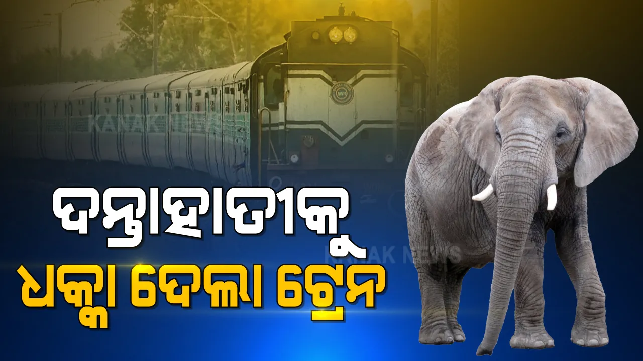  ସମ୍ବଲପୁର ହାତୀବାରି ଷ୍ଟେସନ ନିକଟରେ ଟ୍ରେନ ଧକ୍କାରେ ଦନ୍ତା ହାତୀର ମୃତ୍ୟୁ : ହାତୀପଲ ଟ୍ରାକ ପାରିହେବା ବେଳେ ମାଡିଗଲା ପୁରୀ-ସୁରଟ ଏକ୍ସପ୍ରେସ