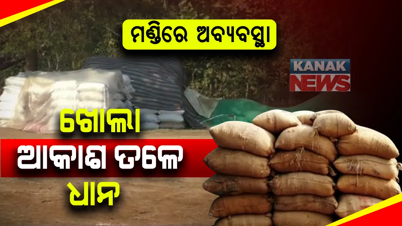  ମଣ୍ଡି ଅବ୍ୟବସ୍ଥା ଓ କଟନିଛଟନିର ପରିଣାମ : ପଦ୍ମପୁର ଗାଇସିଲଟରେ ଖୋଲା ଆକାଶ ତଳେ ପଡିରହିଛି ଅଠର ହଜାର ବସ୍ତା ଧାନ, ଚିନ୍ତାରେ ଚାଷୀ