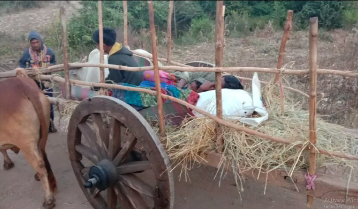  ଶଗଡ ଗାଡିରେ ବୁହା ହେଲେ ରୋଗୀ: ରାସ୍ତା ଖରାପ ଥିବାରୁ ଗାଁରେ ପହଂଚି ପାରିଲାନି ଆମ୍ବୁଲାନ୍ସ; ରୋଗୀଙ୍କୁ ଶଗଡରେ ବସାଇ ୫ କିମି ରାସ୍ତା ପାର କଲେ ସଂପର୍କୀୟ