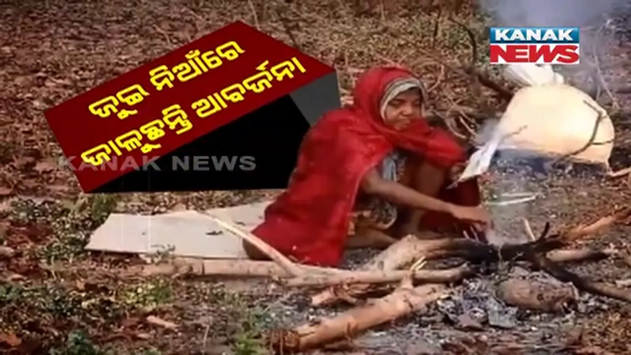  ମଶାଣି ଓ ରାଜପଥ କଡରେ ପଡିରହିଛନ୍ତି ଦୁଇ ମାନସିକ ବିକାରଗ୍ରସ୍ତ ରୋଗୀ । ଖାଇବାକୁ ଦାନା ମୁଠେ ମିଳୁନି, ପ୍ରବଳ ଶୀତକୁ ଚାଦରଟିଏ ବି ନାହିଁ 