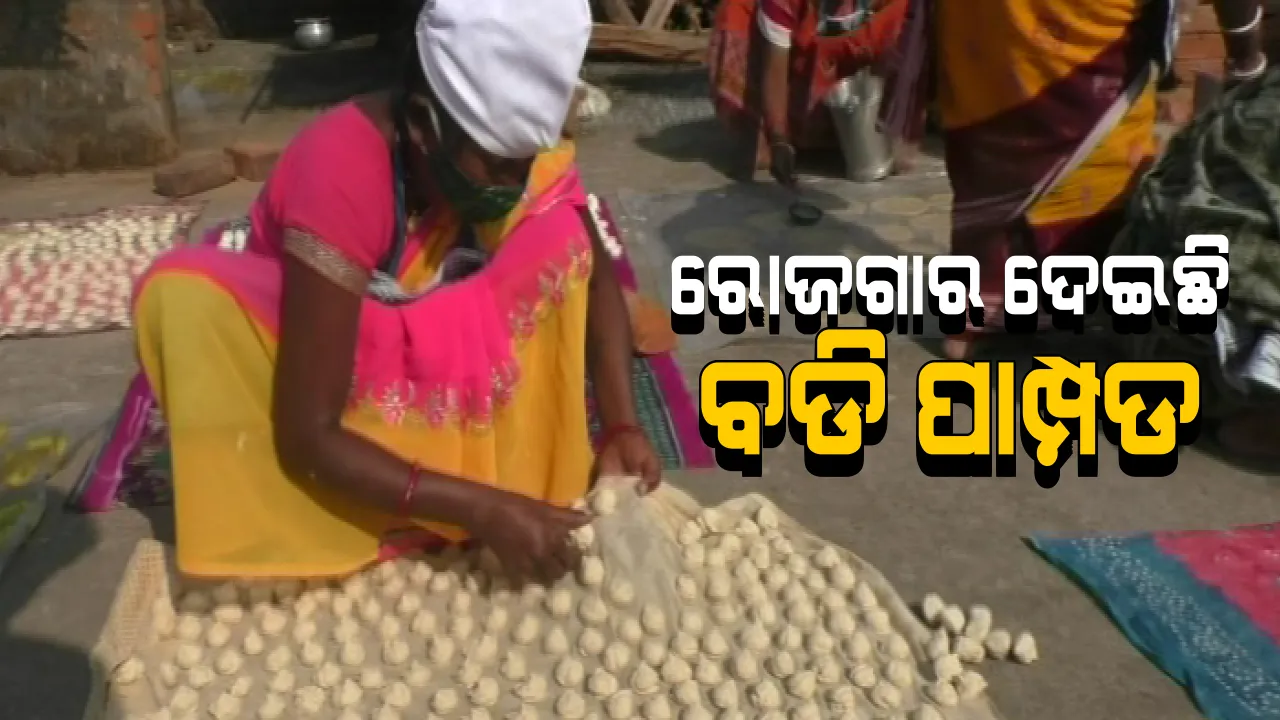  ବଡି ପାମ୍ପଡ ବି ଦେଇପାରେ ରୋଜଗାର । ଝାରସୁଗୁଡା ଲହଣ୍ଡାବୁଡ ଏସଏଚଜି ମହିଳା ହେଉଛନ୍ତି ଲାଭବାନ । ଅନ୍ୟମାନଙ୍କ ପାଇଁ ସାଜିଛନ୍ତି ଉଦାହରଣ ।
