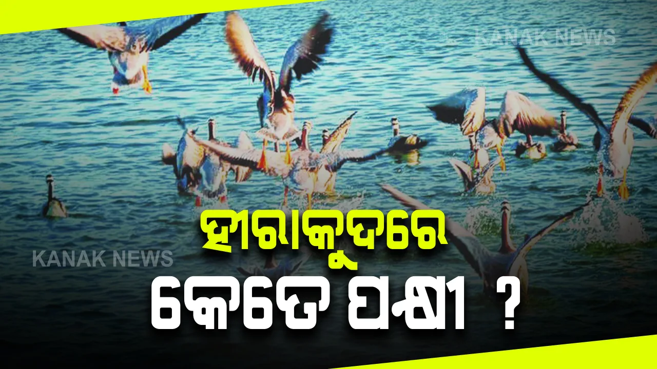  ହୀରାକୁଦରେ ପକ୍ଷୀ ଗଣନା