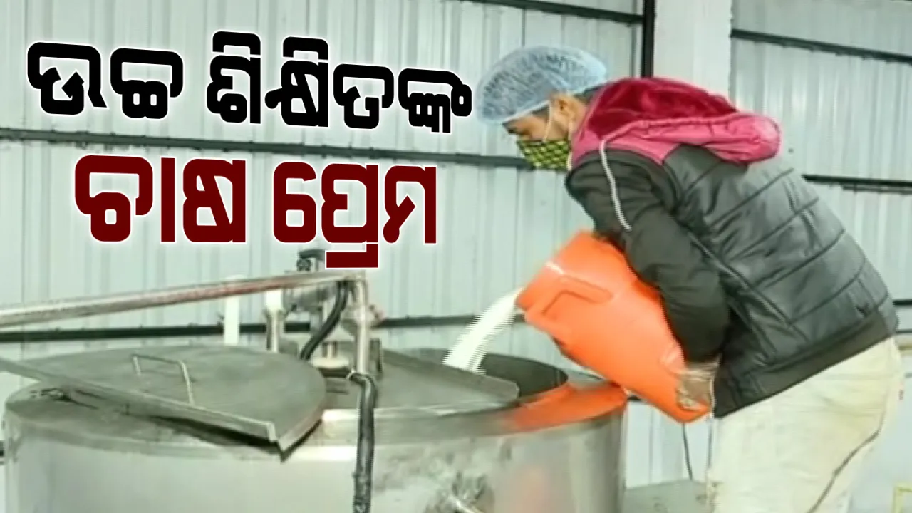  ବଡ ଚାକିରିକୁ ଉଚ୍ଚ ଶିକ୍ଷିତଙ୍କ ନା । ମାଲକାନଗିରିର ଦୁଇ ଏମଟେକ୍ ଭାଇଙ୍କ ନିଆରା ଉଦ୍ୟମ । ଡାଇରୀ ଫାର୍ମ କରି ନିଜେ ଉପାର୍ଜନ କରିବା ସହ ଲୋକଙ୍କୁ ଦେଉଛନ୍ତି ରୋଜଗାର ।