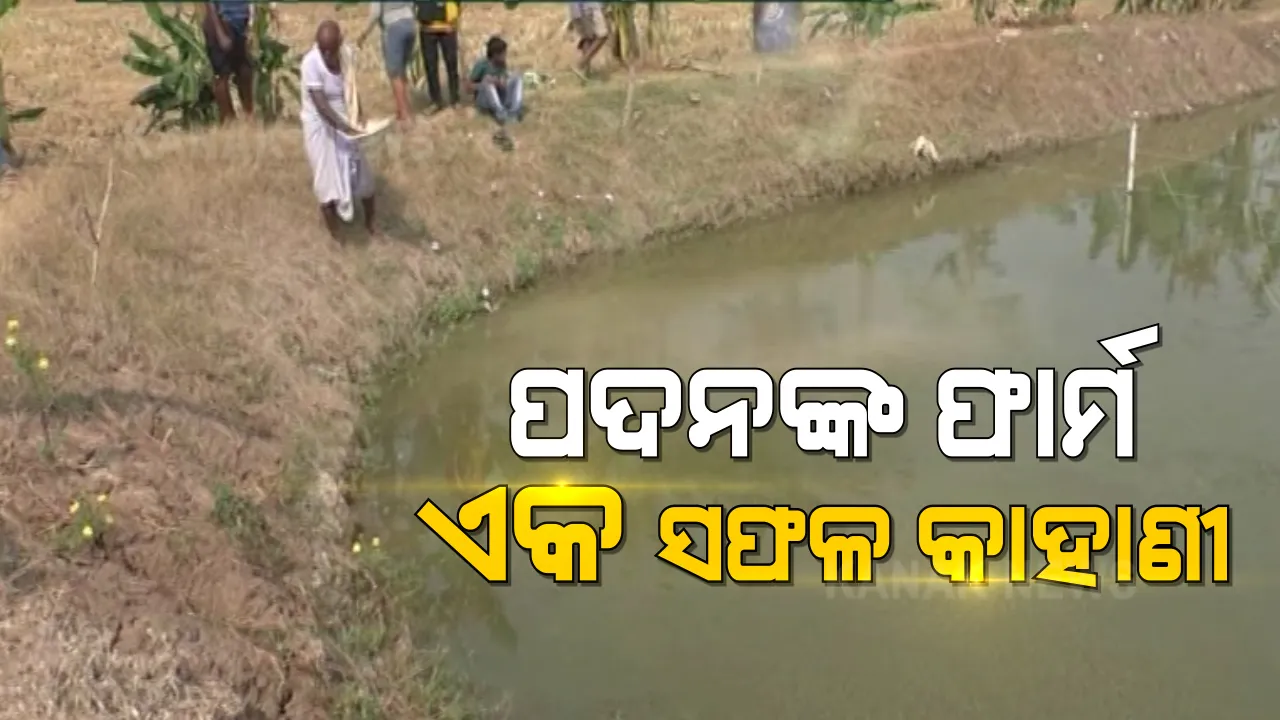  ଆରାମ ନେବା ସମୟରେ ପରିଶ୍ରମ କରି ସଫଳତା ପାଇଛନ୍ତି ମାର୍ଶାଘାଇର ପଦନ ଲେଙ୍କା । ସମବାୟ ସମିତିରୁ ଋଣ ନେଇ ତିନି ଏକର ଜମିରେ କରୁଛନ୍ତି ସମନ୍ୱିତ କୃଷି ।   