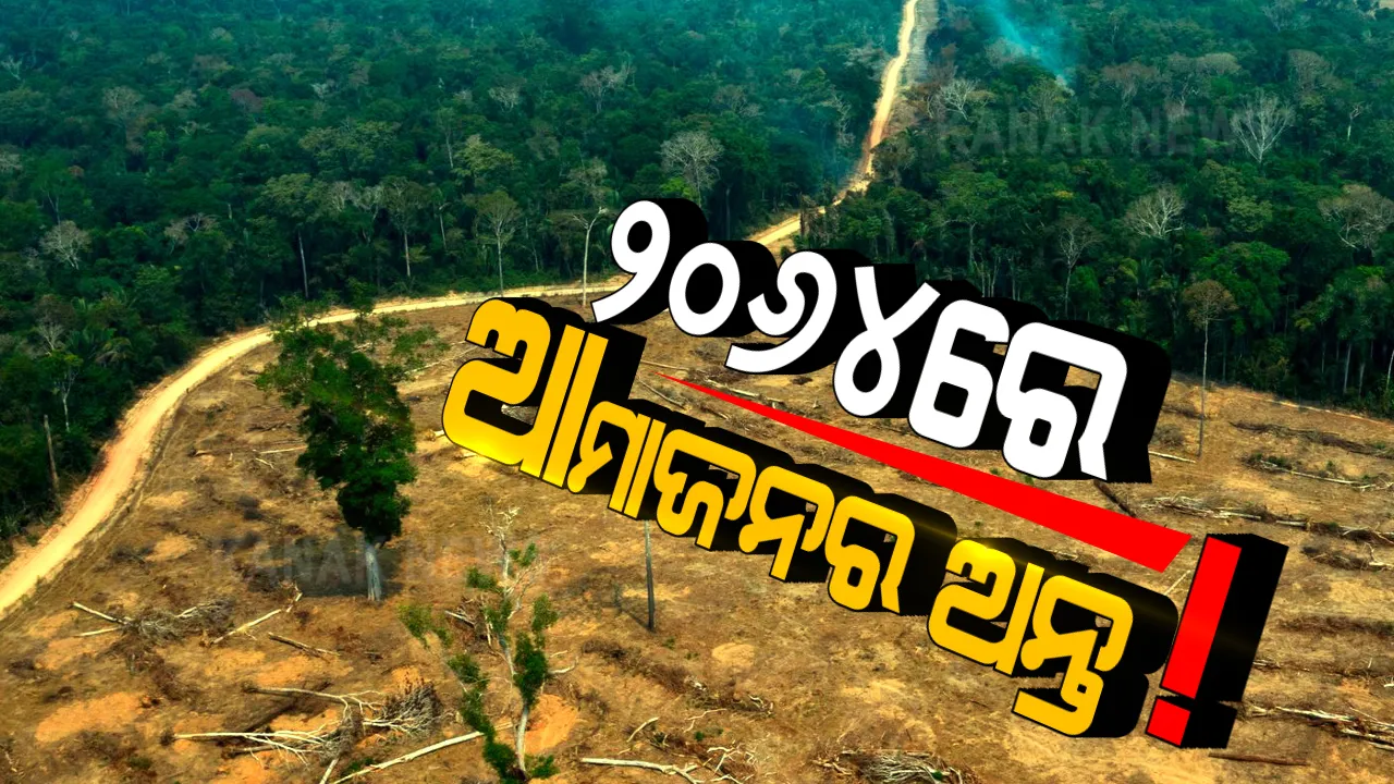  ନିଶ୍ୱାସ ନେବାକୁ ମଣିଷକୁ କରିବାକୁ ପଡିବ ସଂଘର୍ଷ, କାରଣ କିଛି ଦଶନ୍ଧି ଭିତରେ ନଷ୍ଟ ହୋଇଯିବ ବିଶ୍ୱର ଫୁସଫୁସ କୁହାଯାଉଥିବା ଆମାଜନ ଜଙ୍ଗଲ!
