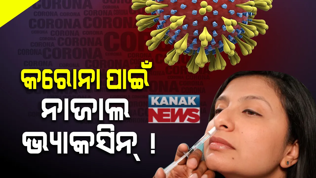  ଏବେ ଇଂଜେକସନ୍ ନୁହେଁ କରୋନା ପାଇଁ ନାଜାଲ ଭ୍ୟାକସିନ  । ପ୍ରସ୍ତୁତ କଲା ଭାରତ ବାୟୋଟେକ୍ । ପରୀକ୍ଷଣ ପାଇଁ ଡିସିଜିଆଇକୁ ମାଗିଲା ଅନୁମତି