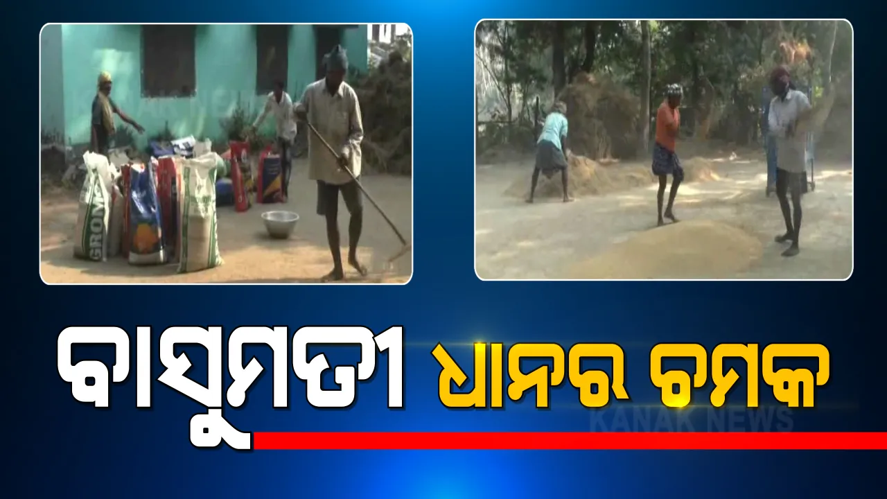  ସାରା ଦେଶରେ ଚାଷୀ ଆନ୍ଦୋଳନ ଭିତରେ ଆଶାର କିରଣ ହୋଇ ସାମ୍ନାକୁ ଆସିଲେ ଯାଜପୁର ଡଗରପଡ଼ାର ଧାନ ଚାଷୀ । ପାରମ୍ପରିକ ଉପାୟରେ କରୁଛନ୍ତି ଧାନ ଚାଷ । ବାସୁମତୀ ଚାଉଳ ଉତ୍ପାଦନ କରି ସାଜିଛନ୍ତି ଆତ୍ମନିର୍ଭରଶୀଳ ।