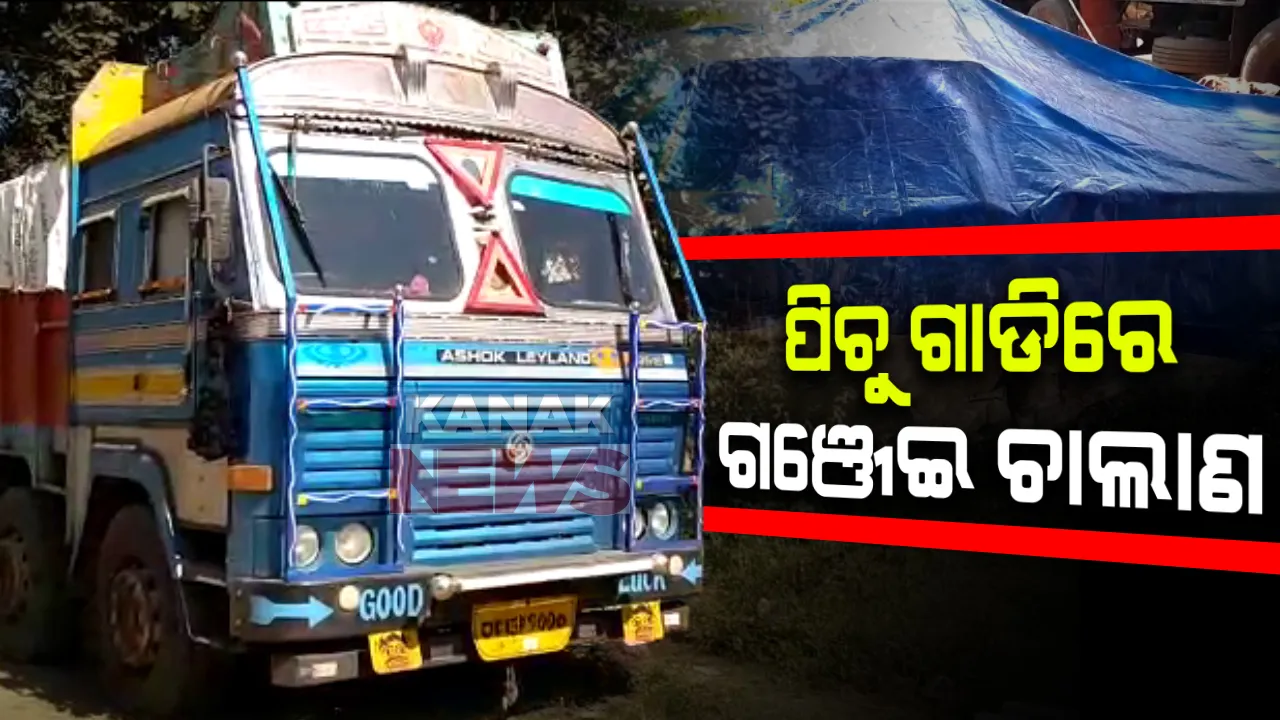  ଗଞ୍ଜେଇ ଚାଲାଣର ନୂଆ ତରିକା : ରାୟଗଡାରେ ପିଚୁ ଟ୍ରକରୁ ଧରାପଡିଲା କୋଟିଏ ଟଙ୍କାର ଗଞ୍ଜେଇ