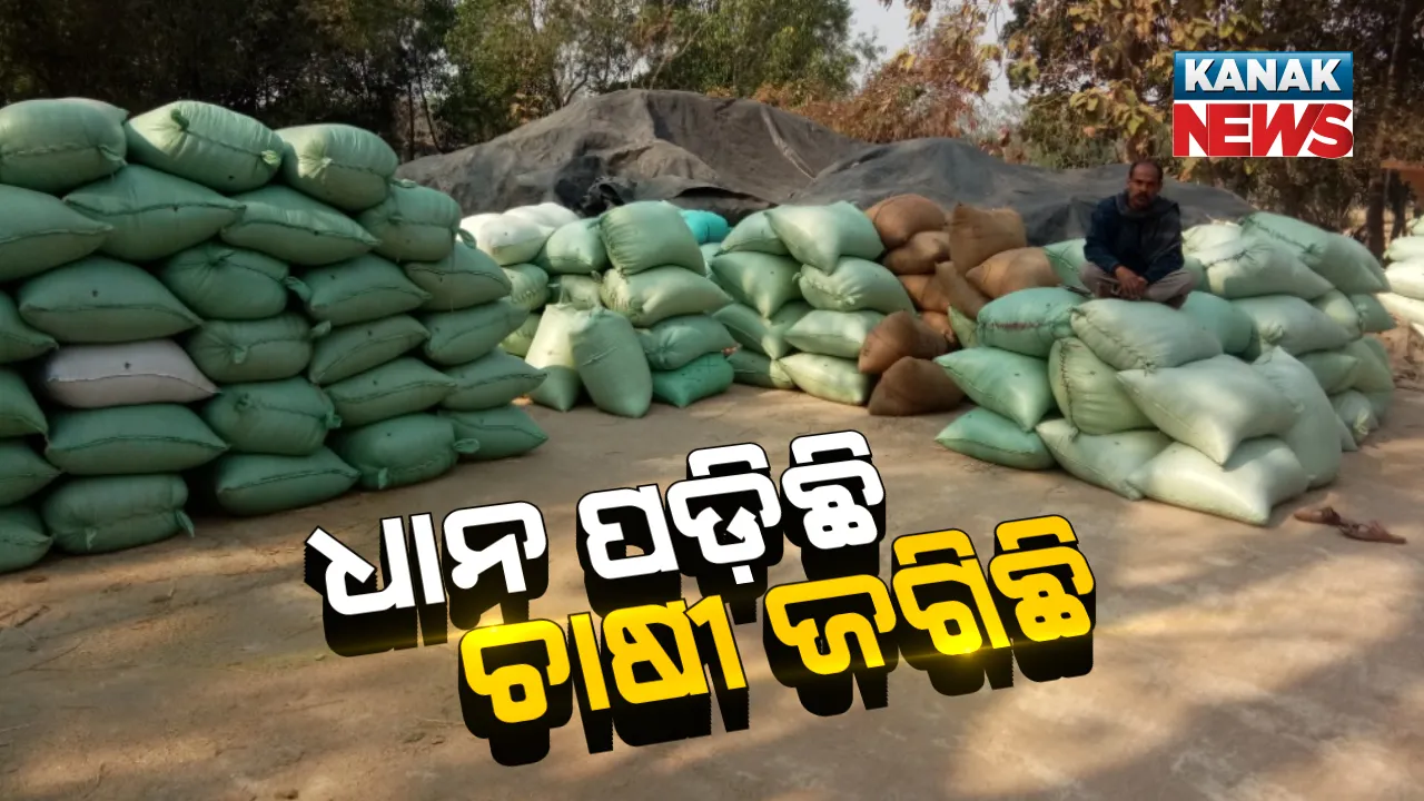  ମଣ୍ଡିରେ ପଡି ରହିଛି ଚାଷୀର ଧାନ । ସାମ୍ନାକୁ ଆସିଲା ଅନ୍ନଦାତାଙ୍କ କରୁଣ ଚିତ୍ର । ଟାର୍ଗେଟ ପୂରଣ ହୋଇଥିବା କହି ଧାନ ଉଠାଉନାହାନ୍ତି ମିଲର, କିଛି ବୁଝି ପାରୁନାହାନ୍ତି ଚାଷୀ କରିବେ କଣ ।