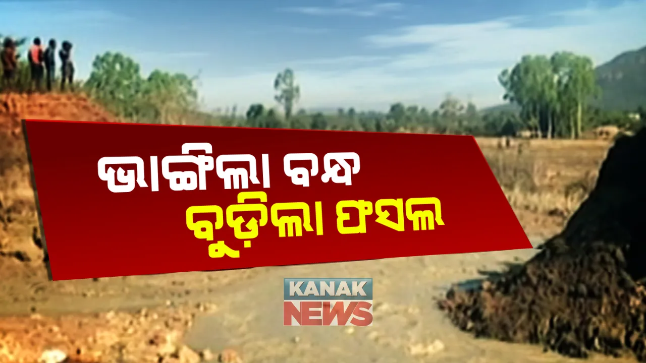  ରାତି ଅଧରେ ଭାଙ୍ଗିଲା କେନାଲ । ସୃ୍ଷ୍ଟି ହେଲା ଘାଇ । ଭାସିଗଲା ଫସଲ, ରାତି ଉଜାଗର ରହି ଜଗି ରହିଲେ ଗ୍ରାମବାସୀ