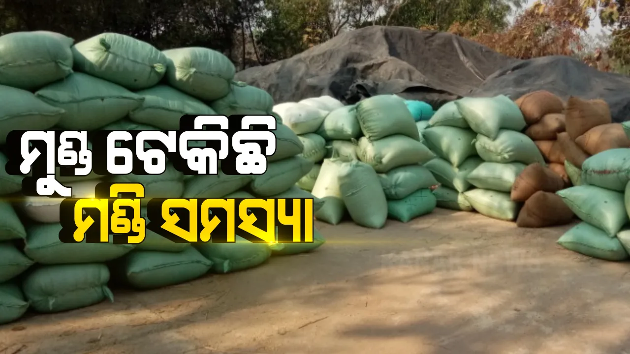  ପଶ୍ଚିମ ଓଡିଶାରେ ମୁଣ୍ଡ ଟେକିଛି ମଣ୍ଡି ସମସ୍ୟା । ବିଭିନ୍ନ ଆଳ ଦେଖାଇ ଧାନ କିଣୁନାହାନ୍ତି ମିଲର । ଅମଳ ହୋଇଛି ଅଧିକ ଧାନ, କିଣିବାକୁ କମ୍ ଟାର୍ଗେଟ୍ ଦେଇଛି ଯୋଗାଣ ବିଭାଗ ।