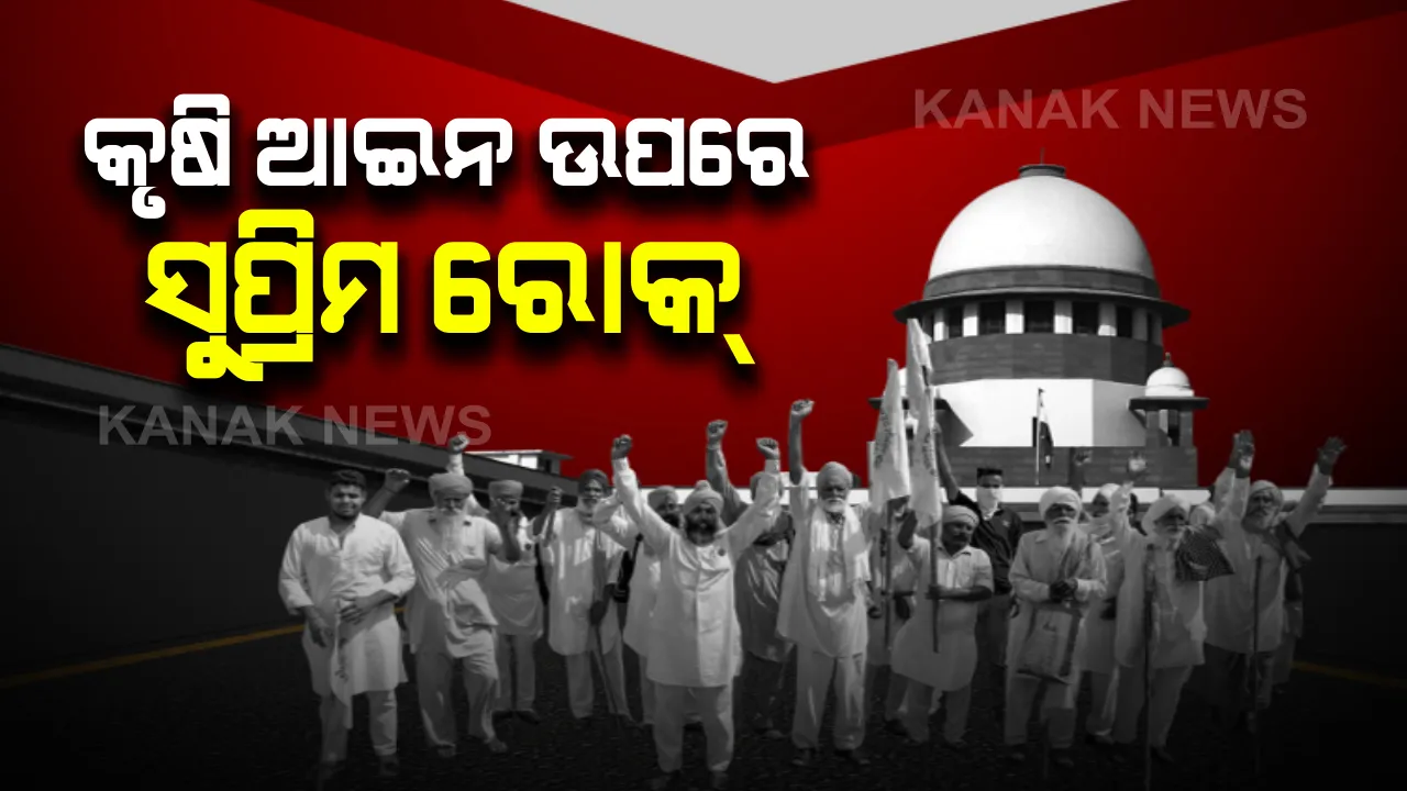  ୩ଟି କୃଷି ଆଇନ ଉପରେ ରୋକ୍ ଲଗାଇଲେ ସୁପ୍ରିମକୋର୍ଟ : ପରବର୍ତ୍ତୀ ନିର୍ଦ୍ଦେଶ ଯାଏ ଲାଗୁ ହୋଇପାରିବନି କୃଷି ଆଇନ ; ୪ଟି ସଦସ୍ୟକୁ ନେଇ କିମିଟି ଗଠନ କଲେ କୋର୍ଟ