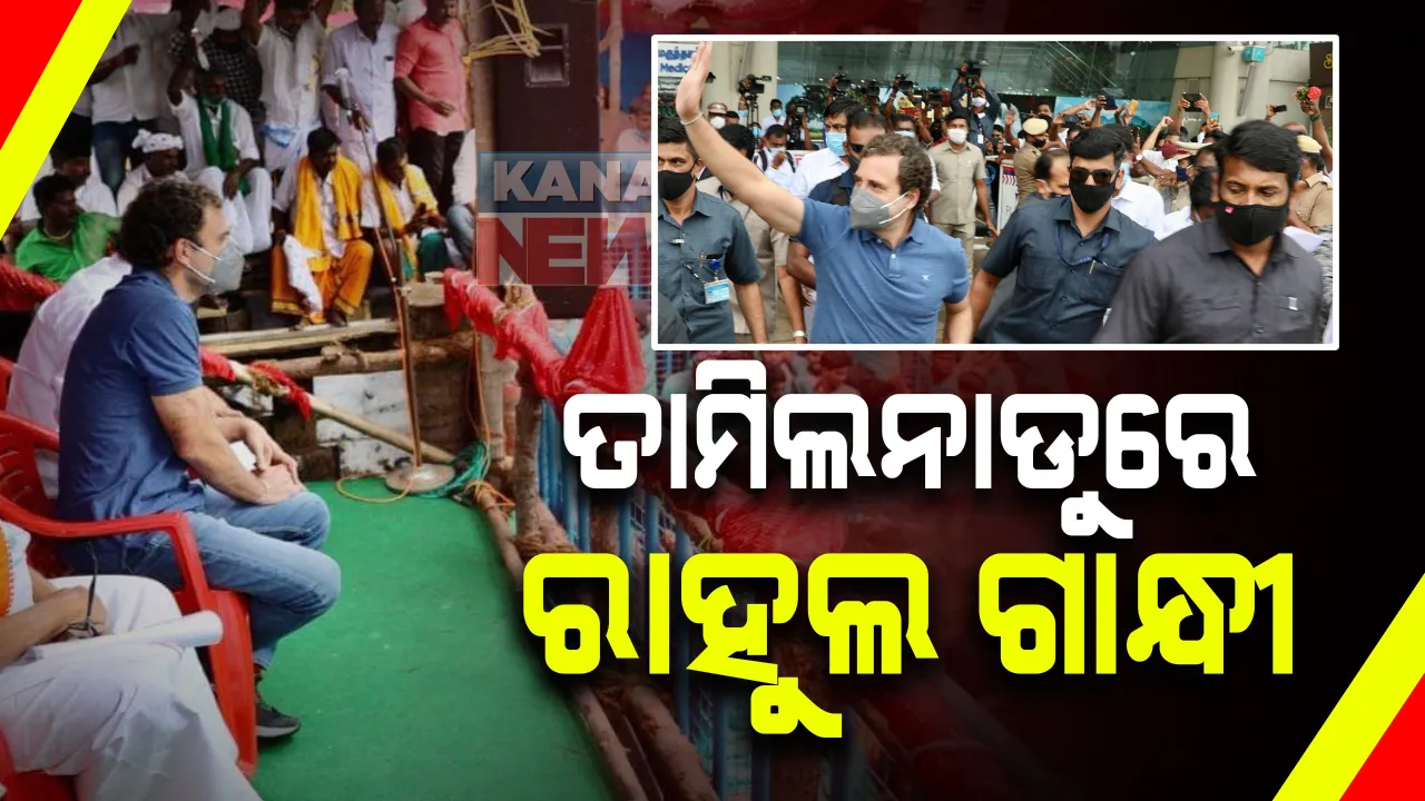  ପୋଙ୍ଗଲ ପର୍ବ ଅବସରରେ ତାମିଲନାଡୁରେ କଂଗ୍ରେସ ନେତା ରାହୁଲ ଗାନ୍ଧୀ : ଅବନୀପୁରମରେ ଆୟୋଜିତ ଜଲିକାଟ୍ଟୁ କାର୍ଯ୍ୟକ୍ରମରେ ହେଲେ ସାମିଲ