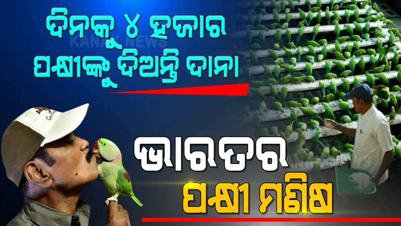  ଦୀର୍ଘ ବର୍ଷ ହେବ ପକ୍ଷୀମାନଙ୍କ ଅନ୍ନଦାତା ସାଜିଛନ୍ତି ଜୋସେଫ ସେକର । ଲକଡାଉନରେ ବି ପକ୍ଷୀଙ୍କୁ ରଖିନଥିଲେ ଭୋକିଲା । ୪ ହଜାର ଶୁଆଙ୍କ ପେଟକୁ ଦେଉଥିଲେ ଦାନା ।