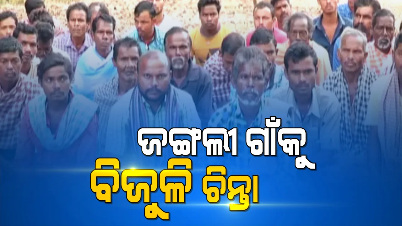  ଜଙ୍ଗଲୀ ଗାଁକୁ ଘାରିଛି ବିଜୁଳି ଚିନ୍ତା । ସାତକୋଶିଆ ନାନୋ ସ୍ମାର୍ଟ ଭିଲେଜରେ ନାହିଁ ବିଜୁଳି ସଂଯୋଗ । ସଞ୍ଜ ନଇଁଲେ ମାଡି ଆସୁଛି ଅନ୍ଧାର