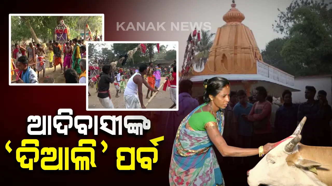  ନବରଙ୍ଗପୁରର ନିଆରା ଦିଆଲି ପର୍ବ । ବର୍ଷର ପ୍ରଥମ ଫସଲ ଅମଳ କରିବା ପରେ ଗୋ-ମାତାଙ୍କୁ ପୂଜା କରନ୍ତି ପ୍ରକୃତି ପ୍ରେମୀ ଆଦିବାସୀ । 