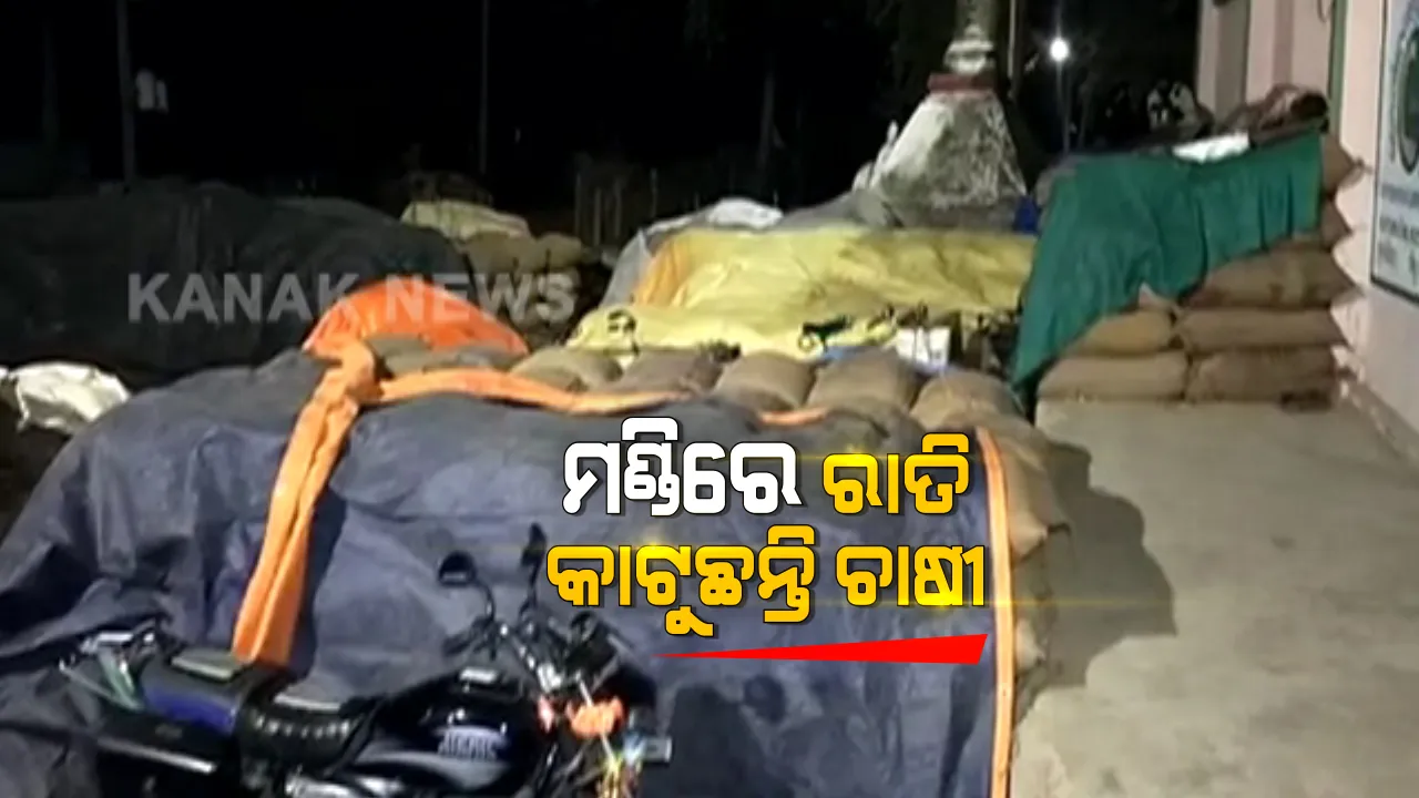  ଚାଷ ଆରମ୍ଭରୁ ଅମଳ ଯାଏଁ ଖାଲି କଷ୍ଟ ଆଉ କଷ୍ଟ । ଅମଳ ପରେ ବିକ୍ରି ପାଇଁ ମଣ୍ଡିରେ ରାତି ଜଗୁଆଳି ସାଜିଲେ ଚାଷୀ । ମଣ୍ଡିରୁ ଆସିଲା ଚାଷୀ ଦୁଃଖର ଅଭାବନୀୟ ଚିତ୍ର ।