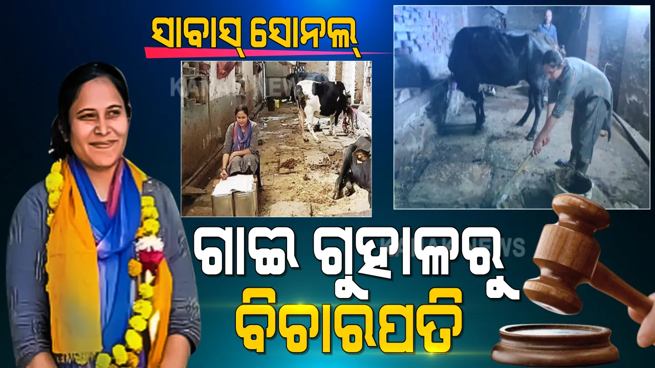  ବିଚାରପତି ହେବ କ୍ଷୀର ବିକାଳିର ଝିଅ । ଗୋବର ଗୋଟେଇ, ଗାଈ ଗୁହାଳରେ ପାଠପଢି ବିଚାରପତି ବନିଲେ ଗରିବ ଘରର ଝିଅ । ସୋନଲ ଶର୍ମା...