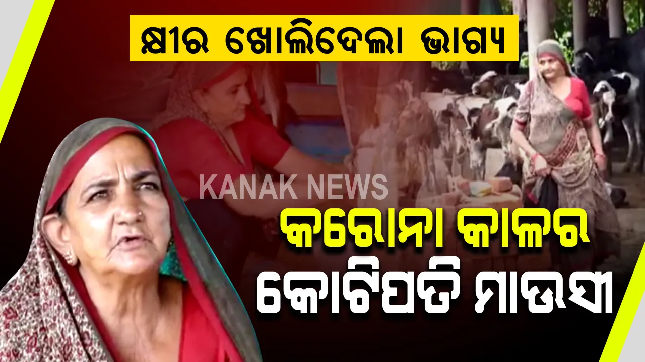  କରୋନା କାଳର କୋଟିପତି ମାଉସୀ । କ୍ଷୀର ଖୋଲିଦେଲା ଭାଗ୍ୟ, କ୍ଷୀର ବିକି କୋଟିପତି ବନିଲେ ୬୨ ବର୍ଷର ବୁଢୀ ମା’ ।