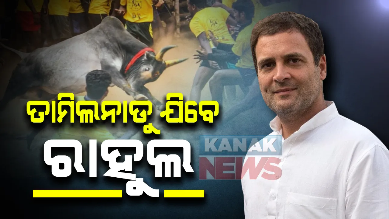  ପୋଙ୍ଗଲ ପର୍ବ ଅବସରରେ ଆଜି ତାମିଲନାଡୁ ଯିବେ କଂଗ୍ରେସ ନେତା ରାହୁଲ ଗାନ୍ଧୀ : ଅବନୀପୁରମରେ ଆୟୋଜିତ ଜଲିକାଟ୍ଟୁ କାର୍ଯ୍ୟକ୍ରମରେ ହେବେ ସାମିଲ