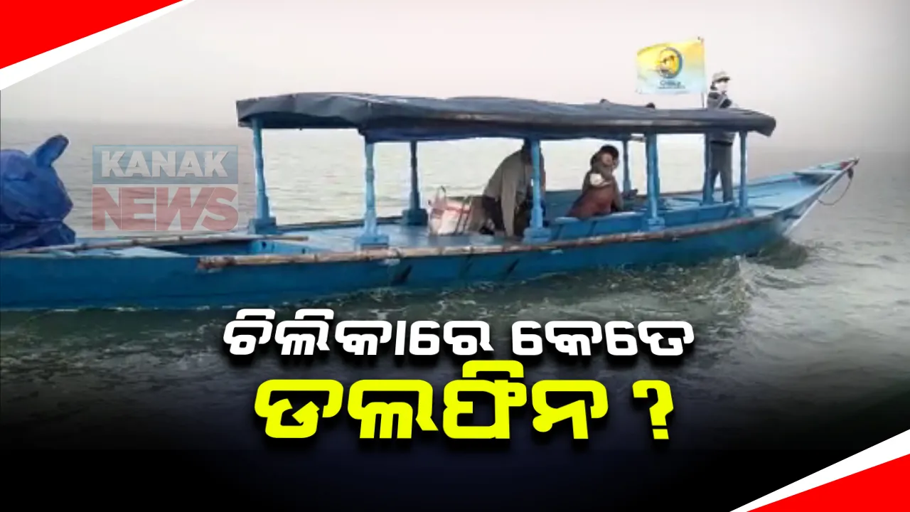  ଚିଲିକାରେ ଆଜିଠାରୁ ଡଲଫିନ ଗଣନା: ୧୮ଟି ଦଳରେ ୭୨ ଜଣ ଗଣନା କାମରେ ସାମିଲ
