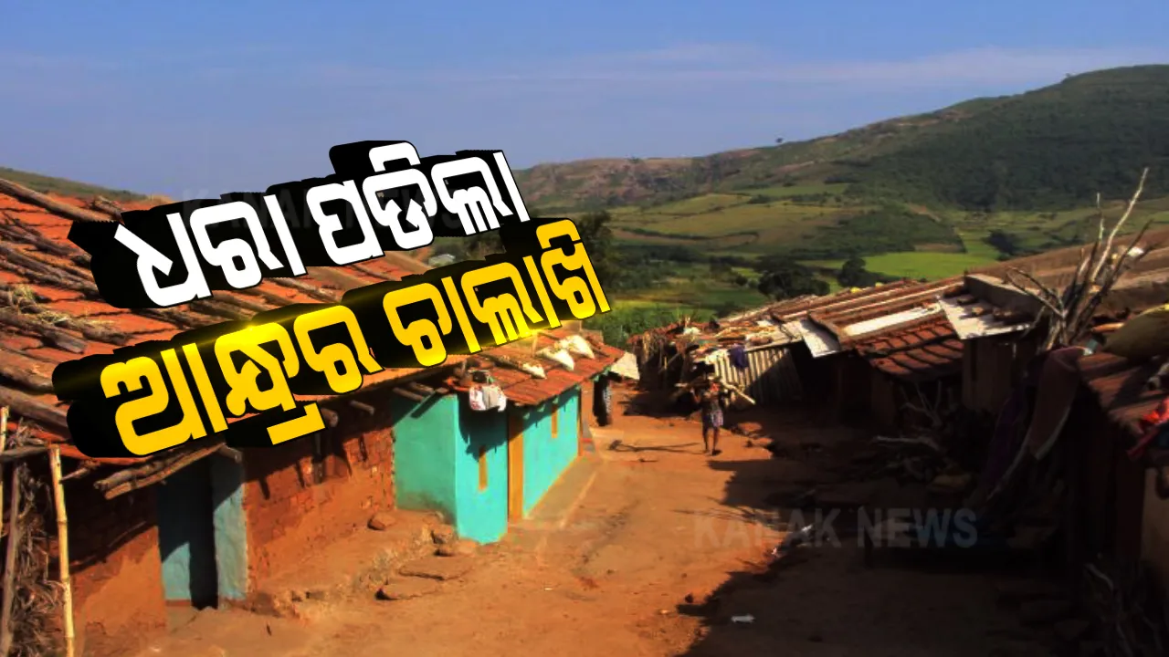  ଆନ୍ଧ୍ରର ଚାଲାଖିକୁ ଧରିଲା ଓଡିଶା । ପ୍ରଶାସନିକ ଅଧିକାରୀଙ୍କ ହସ୍ତକ୍ଷେପ ସତ୍ୱେ ପଟାଙ୍ଗୀର ସମ୍ବାଇରେ ହୋଇପାରୁନି ସୀମା ବିବାଦର ସମାଧାନ ।