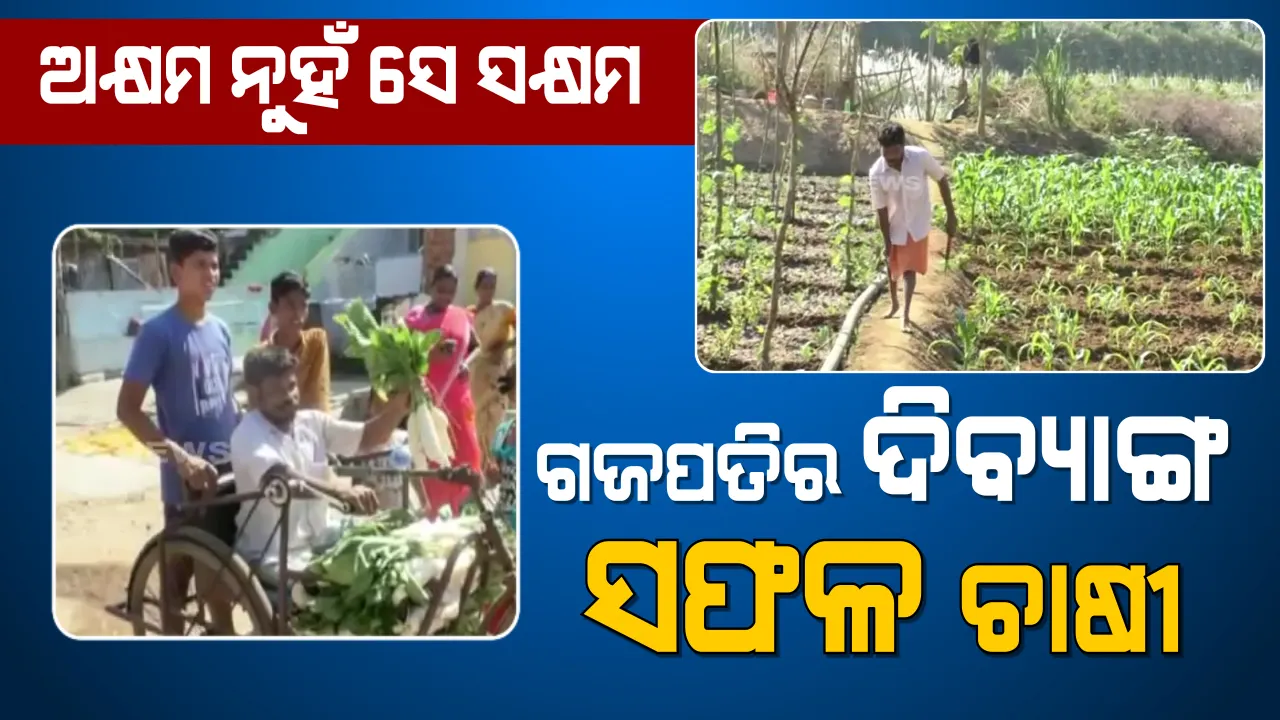  ଭିନ୍ନ ଭାବେ ସକ୍ଷମ ଗଜପତିର ହରିଶ୍ଚନ୍ଦ୍ର: ଦିବ୍ୟାଙ୍ଗ ହୋଇବି ପରିବା ଚାଷ କରି ନିଜ ପାଇଁ ତିଆରି କରିଛନ୍ତି ସ୍ୱତନ୍ତ୍ର ପରିଚୟ
