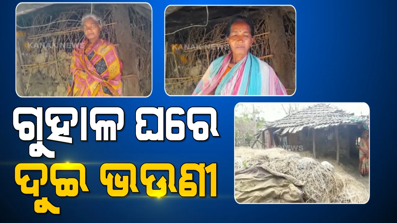  ଗୁହାଳ ଘରେ ଅସହାୟ ଯୁବତୀଙ୍କ ଜୀବନ । ବାପାଙ୍କ ମୃତ୍ୟୁ ପରେ ମୁଣ୍ଡ ଗୁଞ୍ଜିବାକୁ ଛାତ ନାହିଁ, ଗୁହାଳ ଘରେ ଗାଇ-ଗୋରୁଙ୍କ ସହ ଏକାଠି ରହୁଛନ୍ତି ଦୁଇ ଭଉଣୀ ।