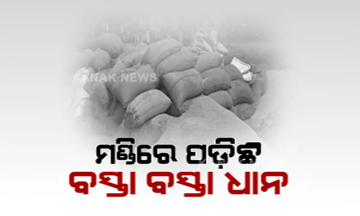 ମଣ୍ଡିରେ ପଡିଛି ଧାନ, ରାସ୍ତାକୁ ଓହ୍ଲାଇଲେ ଚାଷୀ । କଳାହାଣ୍ଡି ଗୋଲମୁଣ୍ଡାରେ ଟାର୍ଗେଟ ପୂରଣ ହୋଇଥିବା କହି ଧାନ କିଣୁ ନାହାନ୍ତି ମିଲର  ।