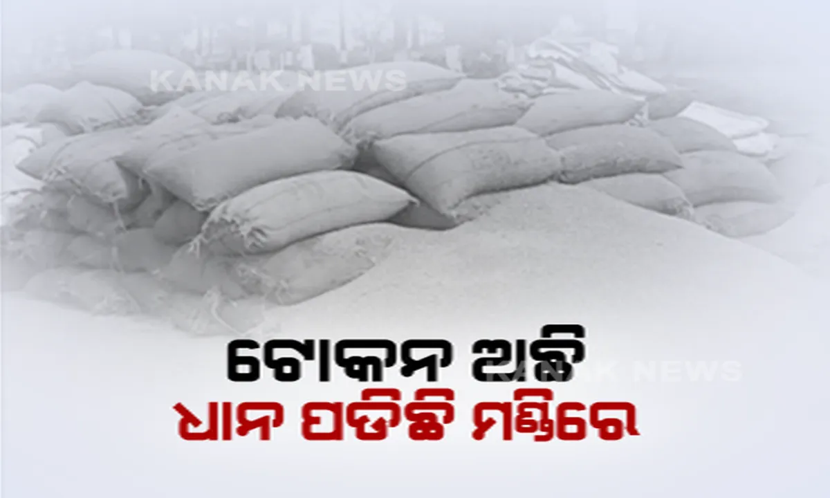  ମଣ୍ଡିରେ କାହିଁକି ହଲାପଟା ହେଉଛନ୍ତି ଚାଷୀ? ଧାନ କିଣାରେ ଅବ୍ୟବସ୍ଥାକୁ ରେଙ୍ଗାଲିରେ ବିରୋଧ, ଘଣ୍ଟା ଘଣ୍ଟା ଧରି ରାସ୍ତା ଉପରେ ଅଟକି ରହିଲା ଶହ ଶହ ଗାଡ଼ିମଟର ।