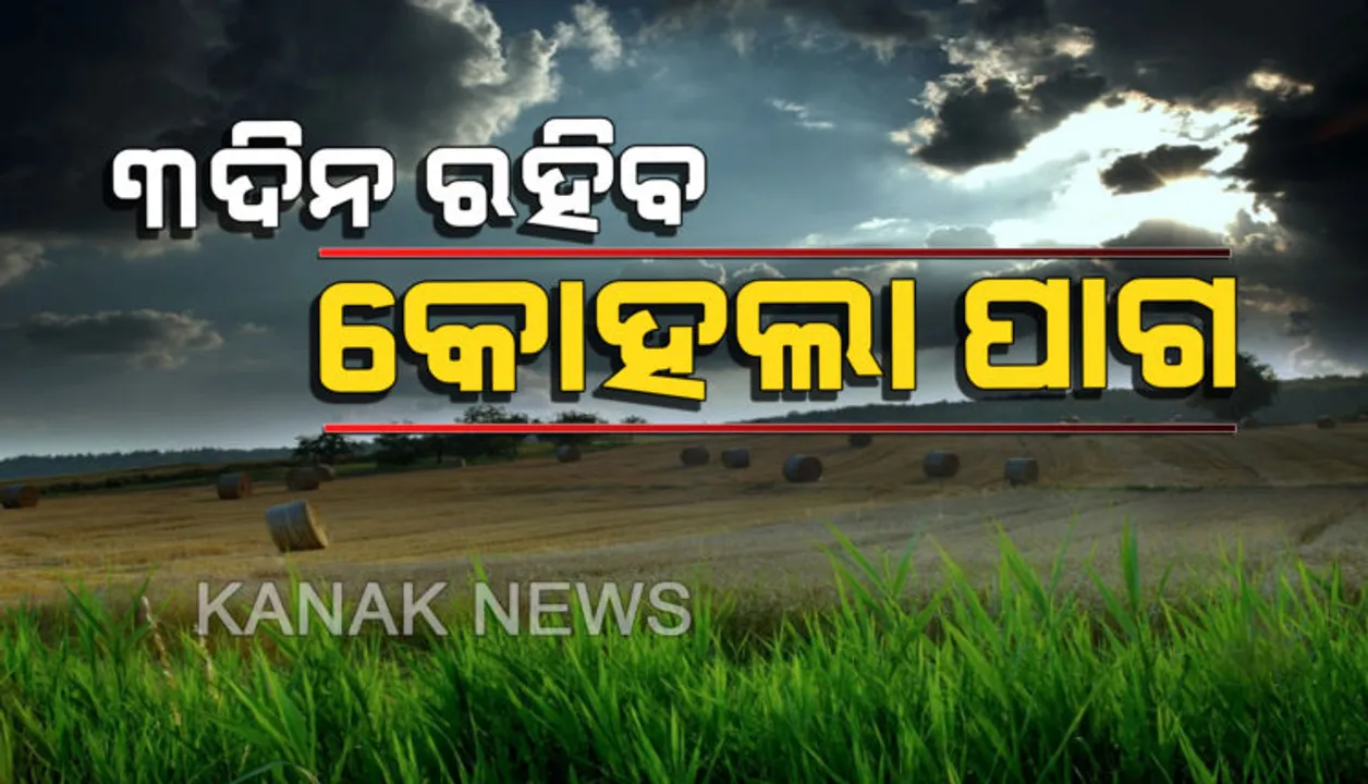  ଆସନ୍ତା ୩ ଦିନ ଘନ କୁହୁଡ଼ି ! ବୌଦ୍ଧ ଓ କନ୍ଧମାଳ ସମେତ ୪ ଉପକୂଳ ଜିଲ୍ଲାରେ ପ୍ରବଳ କୁହୁଡି ସମ୍ଭାବନା । ରାଜ୍ୟର ତାପମାତ୍ରା ବଢ଼ିବ, ଶୀତ କମିବ
