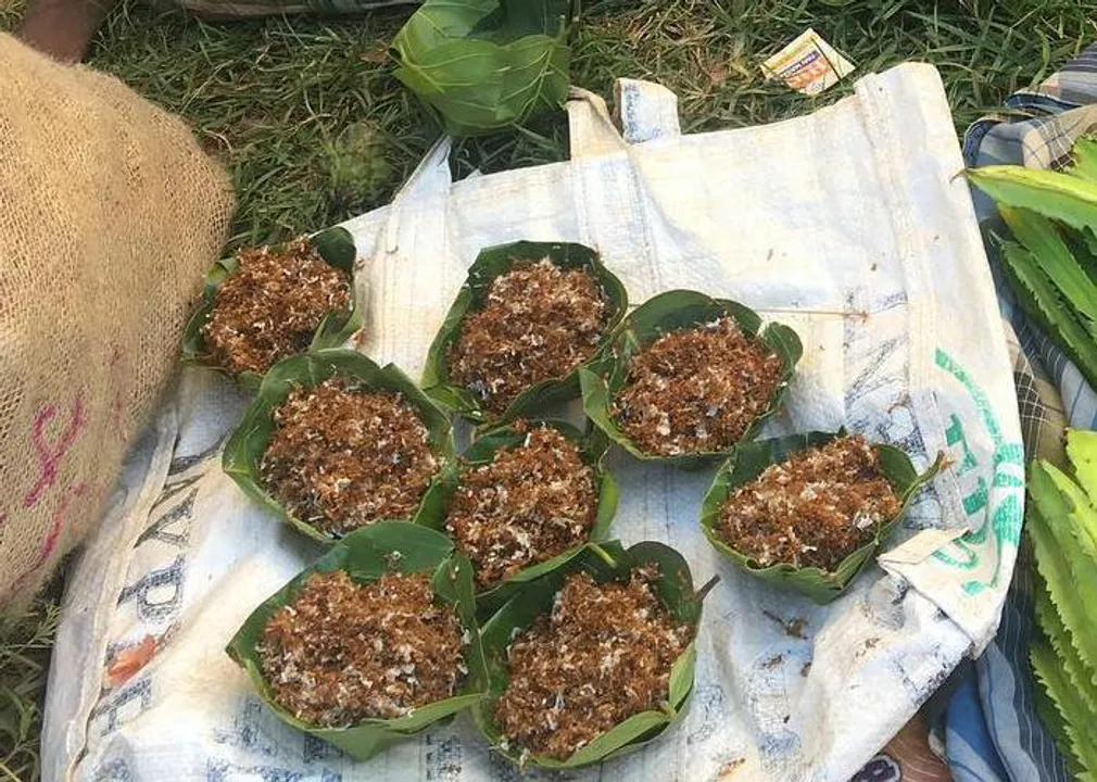  କରୋନାରୁ ଉପଶମ ପାଇଁ ନାଲି ପିମ୍ପୁଡିର ଆଚାର ଉପରେ ନିଷ୍ପତି ନେବାକୁ କହିଲେ ହାଇକୋର୍ଟ । କାହିଁକି ଏହା ବ୍ୟବହାର ହେଉନାହିଁ ବୋଲି କୋର୍ଟରେ ହୋଇଥିଲା ଜନସ୍ୱାର୍ଥ ମାମଲା 